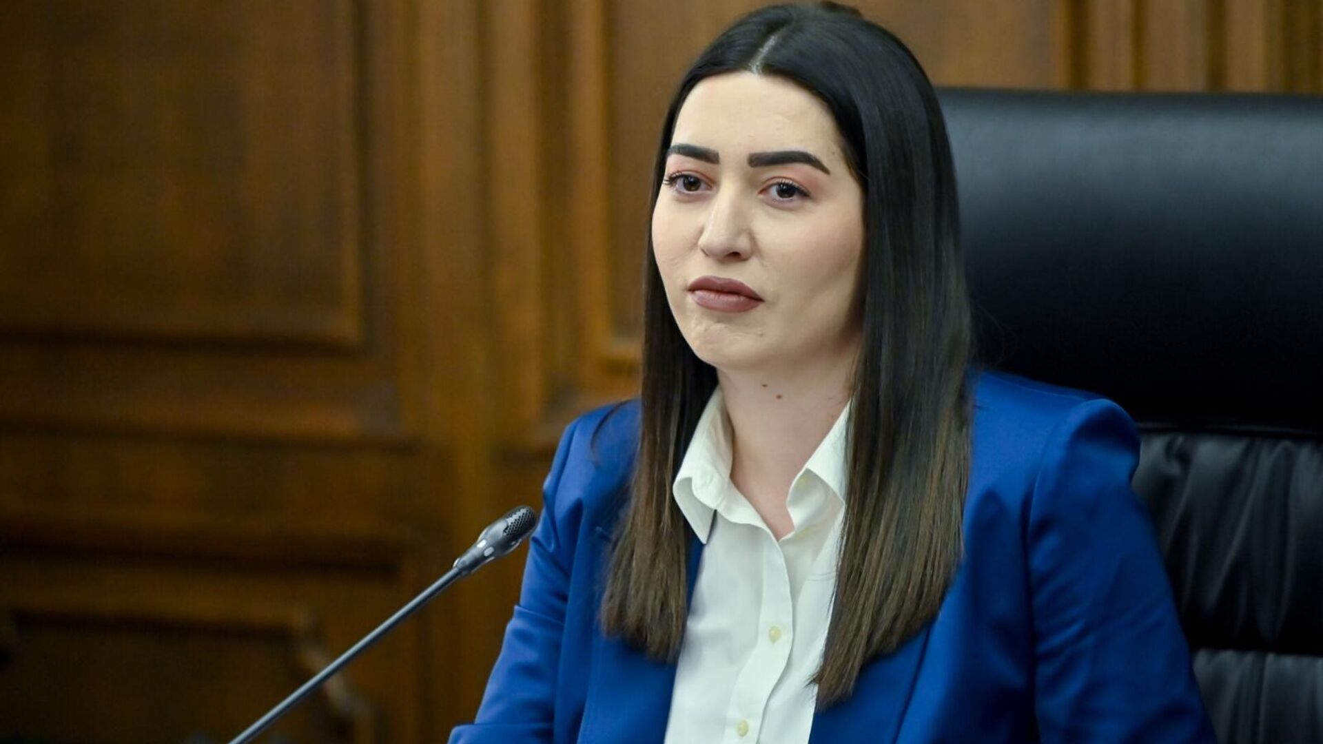 Համագործակցության նոր հեռանկարներ․ ՀՀ ՆԳՆ-ն հանդիպել է  Բելգիայի պաշտոնակցի հետ